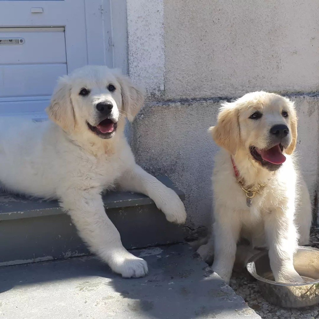 Retrouvailles entre Miss Rouge et Mr Jaune